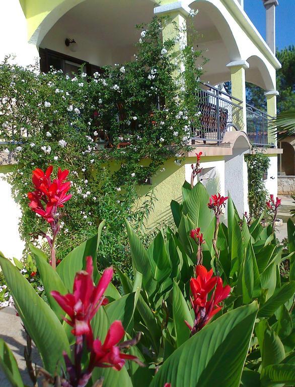 Apartments And Room Markovic Rovinjsko Selo Rom bilde